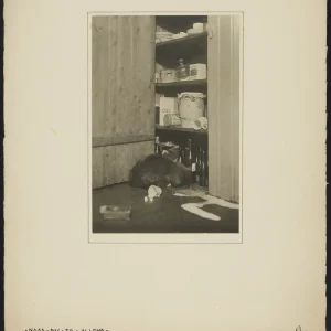 Photograph by Olaf Christoffersen of a cat surrounded by workplace objects at Kværner Brug in Christiania, capturing a playful and humorous moment in 1924.