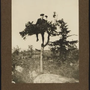 Self-portrait by Olaf Christoffersen perched in a pine tree, binoculars in hand, showcasing his playful and adventurous approach to photography.