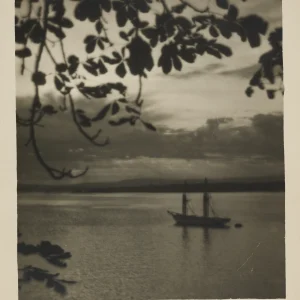 Evening view of Oslofjord photographed by Olaf Christoffersen, showing a sailboat against a calm evening sky, framed by overhanging branches, evoking peace and contemplation.