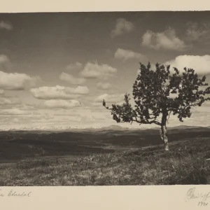 A supplementary visual element supporting Olaf Christoffersen’s photographic legacy and brand presentation.